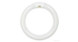Circular Fluorescent Lamps